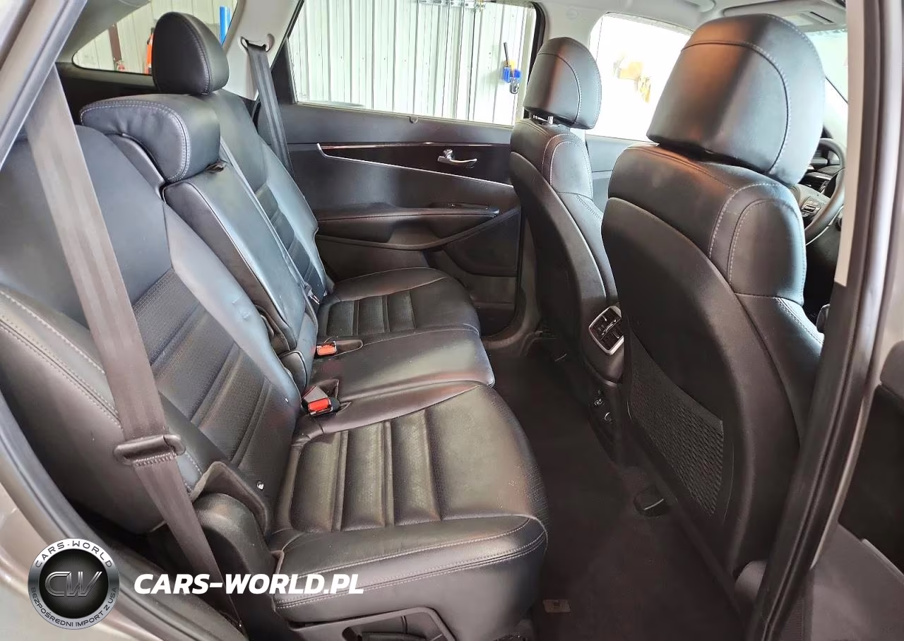 2017 Kia Sorento Ex VIN:5XYPH4A12HG248231 - 10