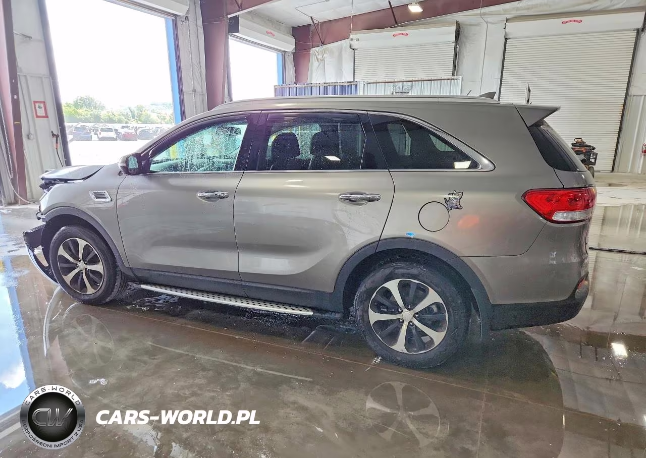 2017 Kia Sorento Ex VIN:5XYPH4A12HG248231 - 2
