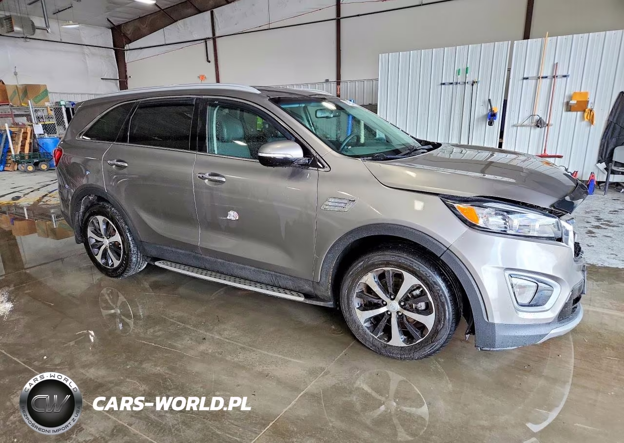 2017 Kia Sorento Ex VIN:5XYPH4A12HG248231 - 4