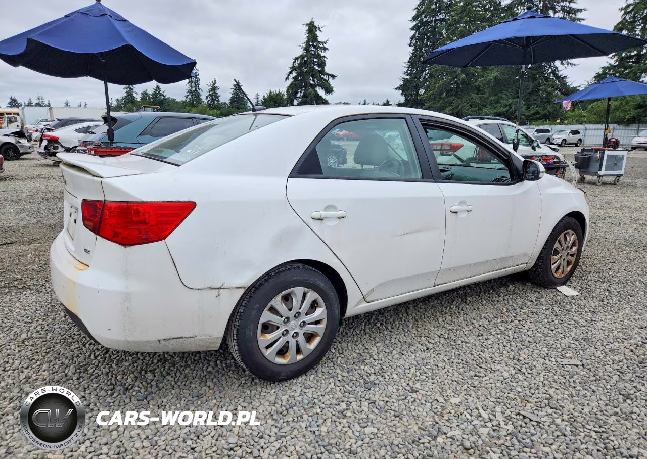 2011 Kia Forte Ex VIN:KNAFU4A25B5403805 - 3