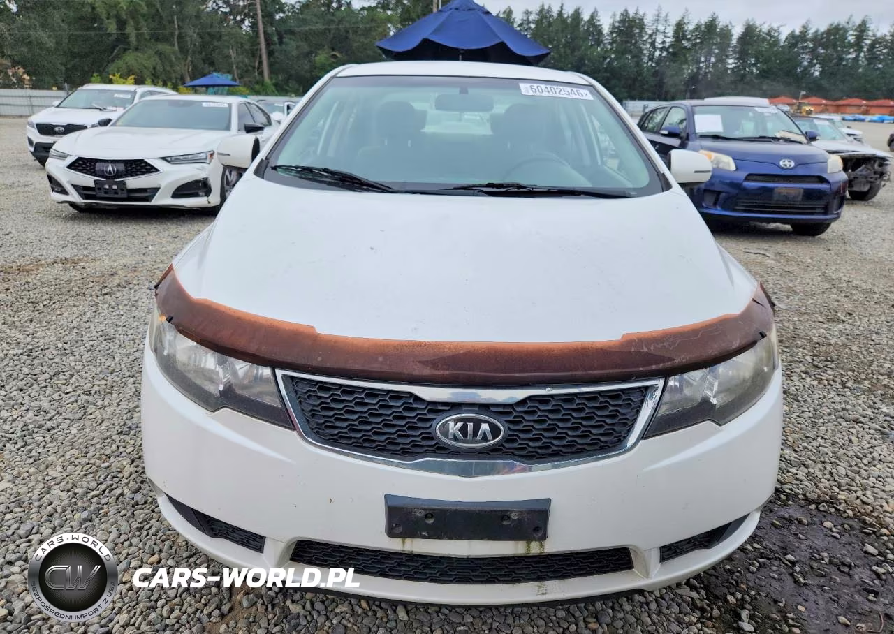 2011 Kia Forte Ex VIN:KNAFU4A25B5403805 - 5