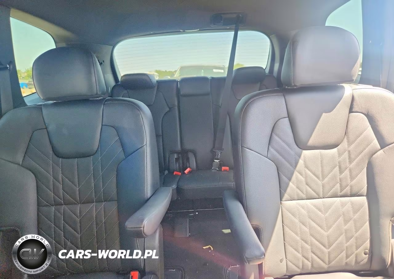 2024 Kia Telluride Ex X-Line VIN:5XYP3DGC1RG449157 - 10
