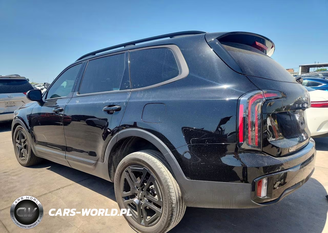 2024 Kia Telluride Ex X-Line VIN:5XYP3DGC1RG449157 - 2