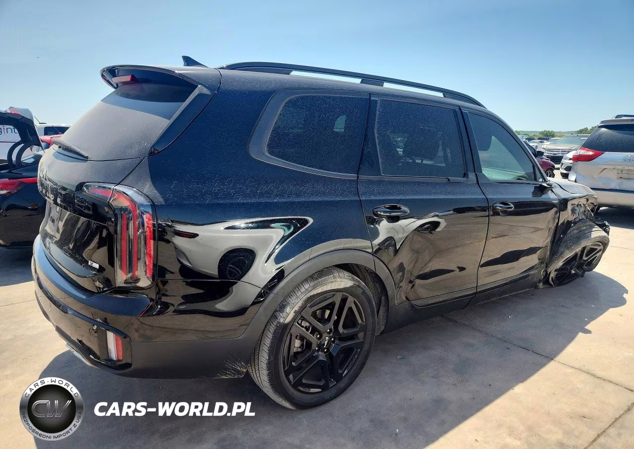 2024 Kia Telluride Ex X-Line VIN:5XYP3DGC1RG449157 - 3