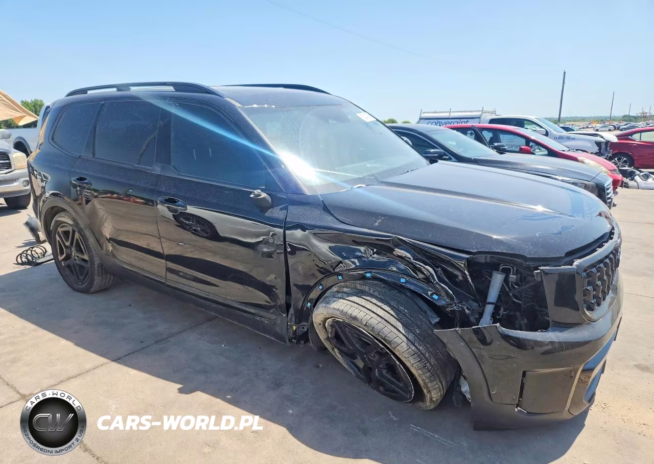 2024 Kia Telluride Ex X-Line VIN:5XYP3DGC1RG449157 - 4
