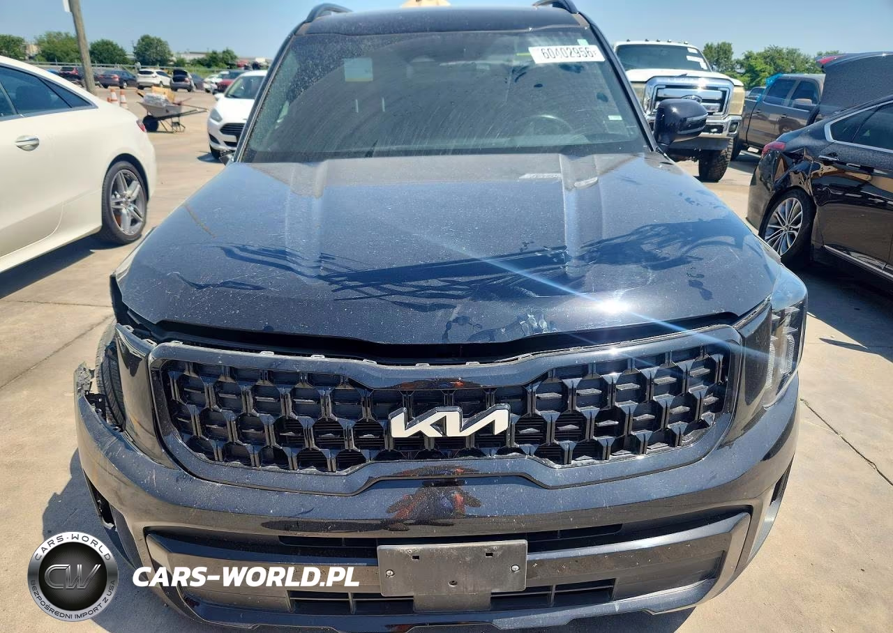 2024 Kia Telluride Ex X-Line VIN:5XYP3DGC1RG449157 - 5