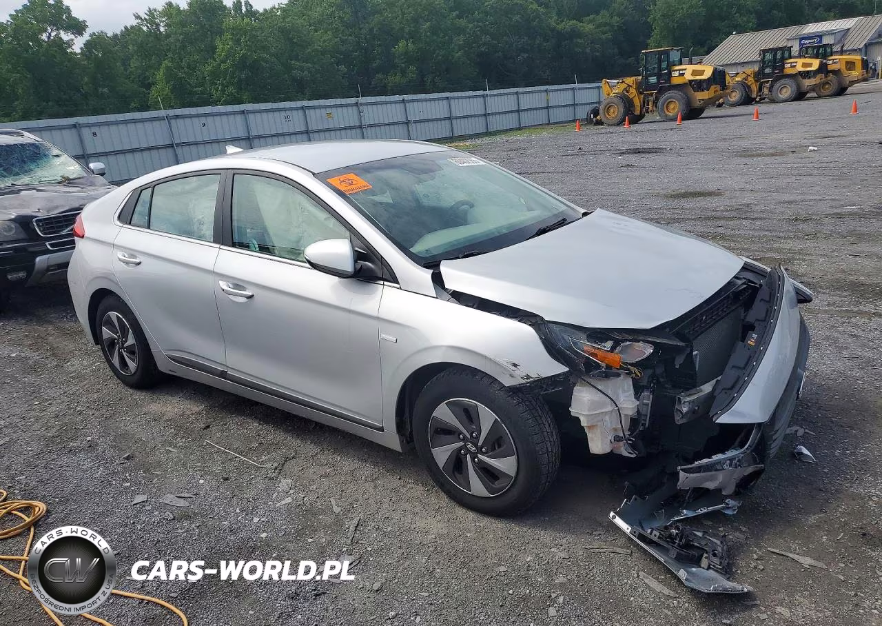 2017 Hyundai Ioniq Sel VIN:KMHC75LC2HU021914 - 4
