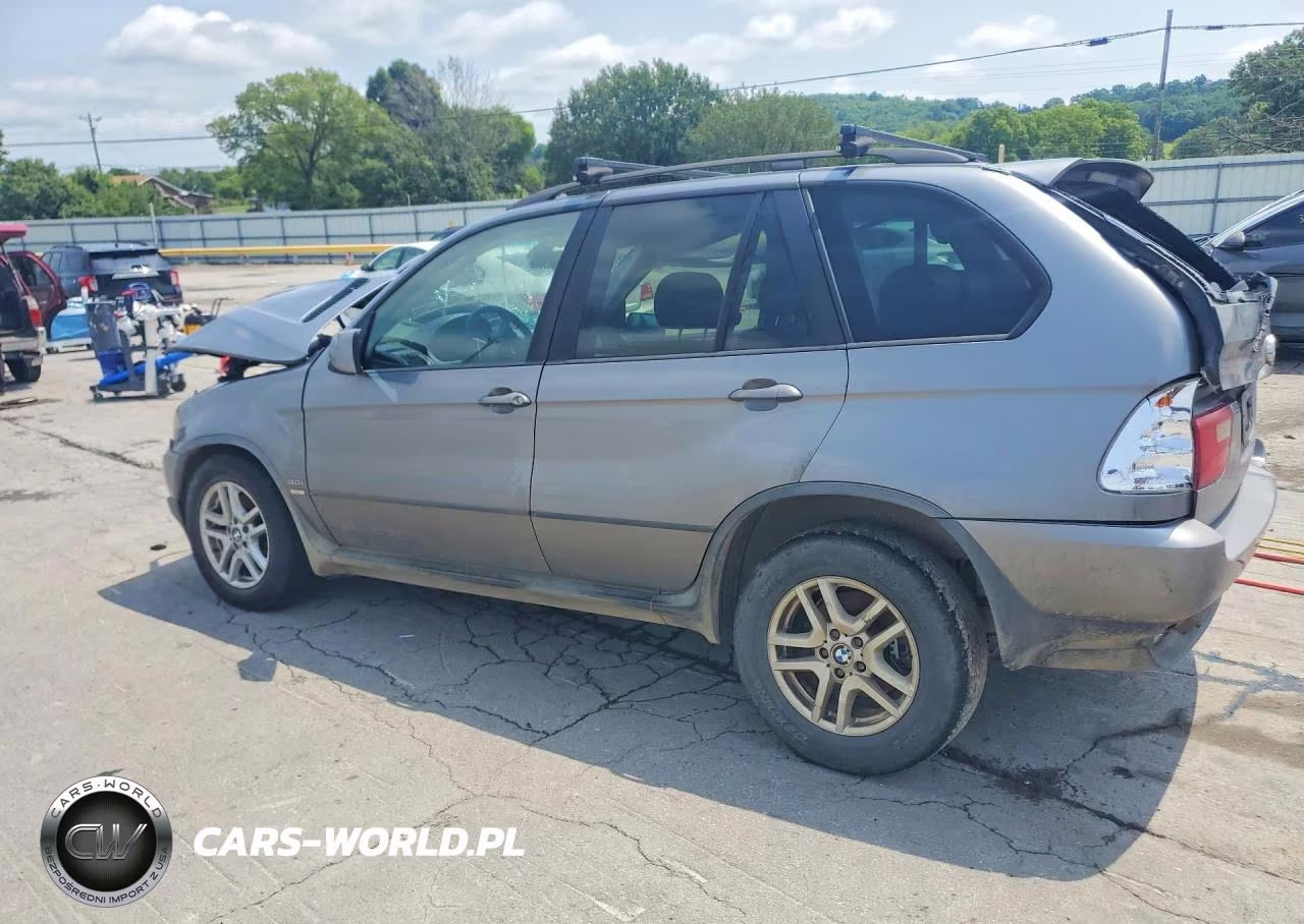 2004 BMW X5 3.0I VIN:5UXFA13514LU41384 - 2