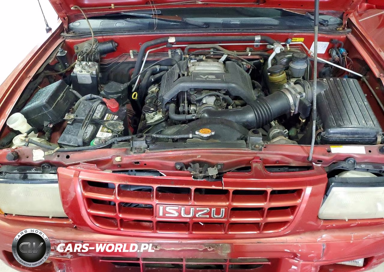 1999 Isuzu Rodeo VIN:4S2CM58WXX4362514 - 12