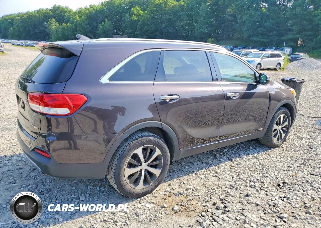 2017 Kia Sorento Ex VIN:5XYPHDA12HG272626 - 3