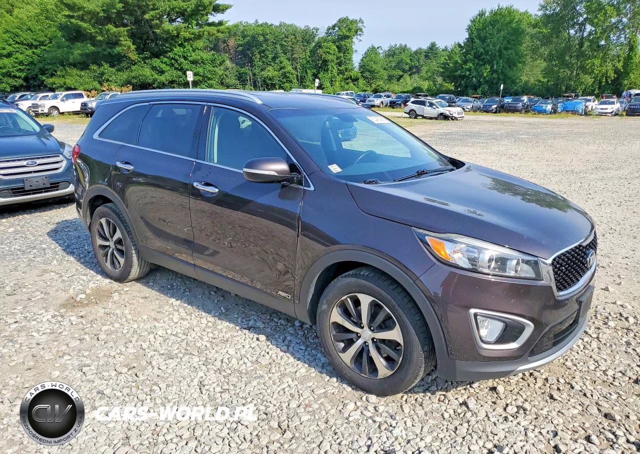 2017 Kia Sorento Ex VIN:5XYPHDA12HG272626 - 4