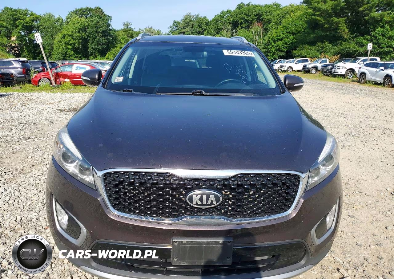 2017 Kia Sorento Ex VIN:5XYPHDA12HG272626 - 5