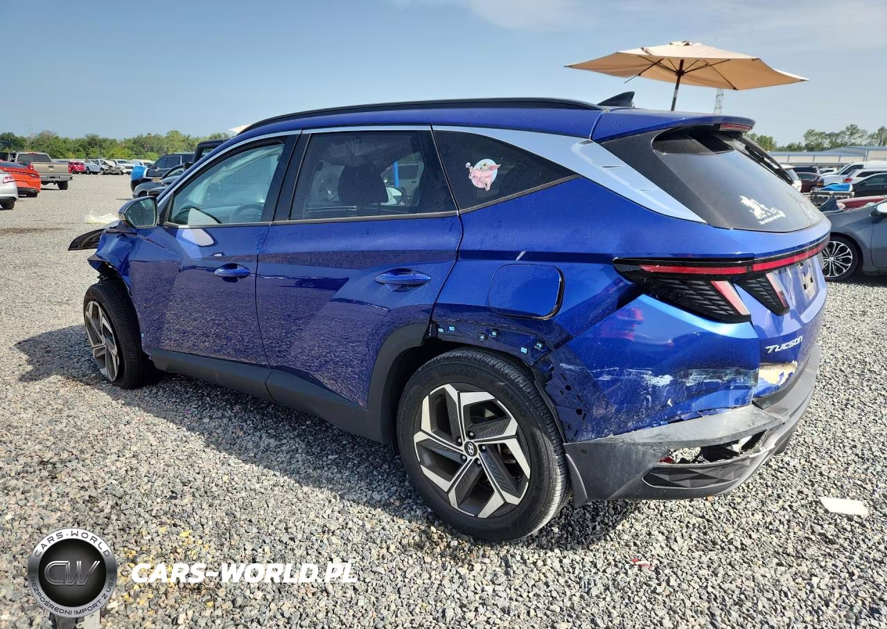 2022 Hyundai Tucson Limited VIN:5NMJE3AE6NH126162 - 2