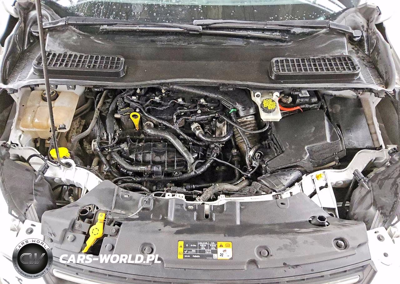 2016 Ford Escape Se VIN:1FMCU0GX6GUA91441 - 11