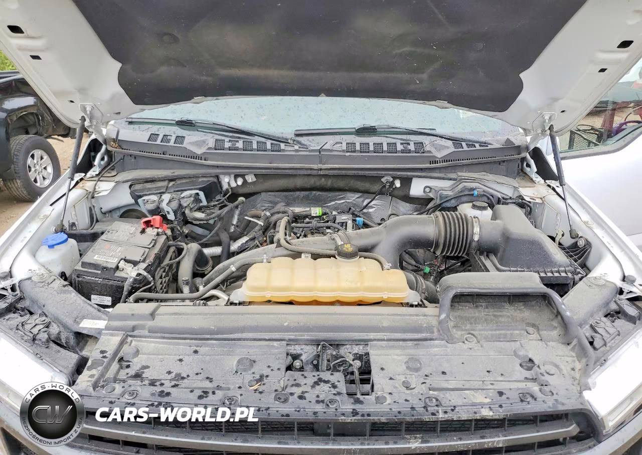 2020 Ford F150 Supercrew VIN:1FTEW1EPXLKF36009 - 11