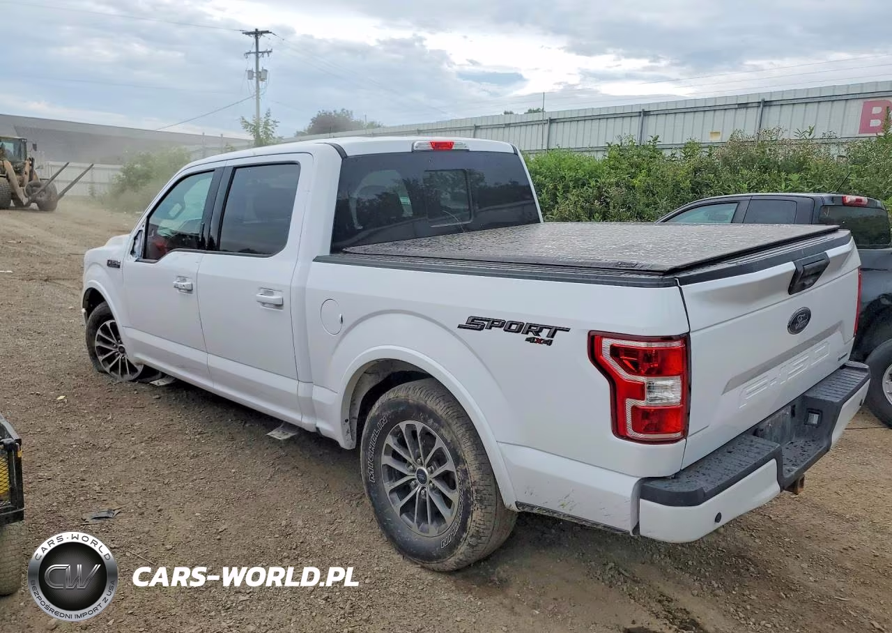 2020 Ford F150 Supercrew VIN:1FTEW1EPXLKF36009 - 2