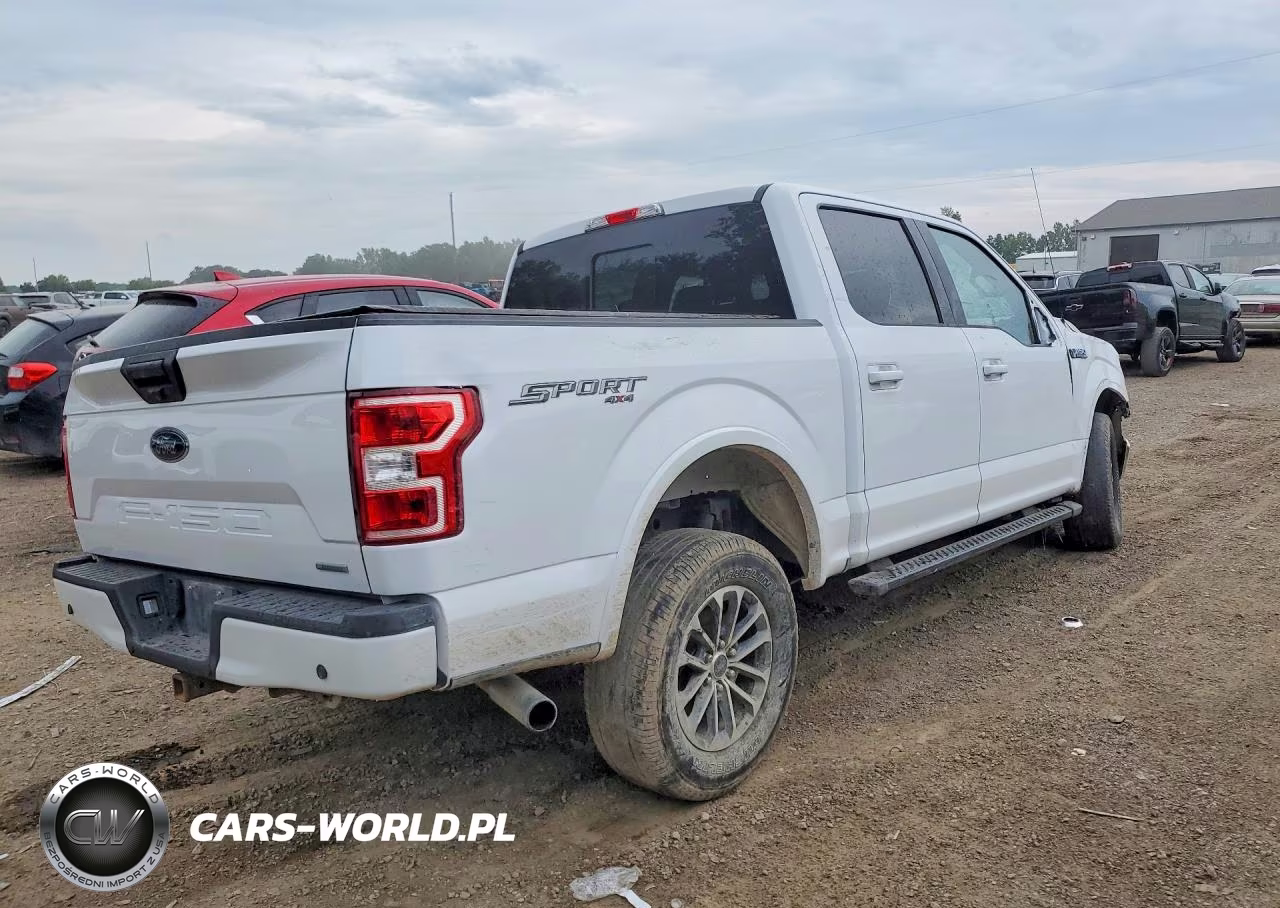 2020 Ford F150 Supercrew VIN:1FTEW1EPXLKF36009 - 3