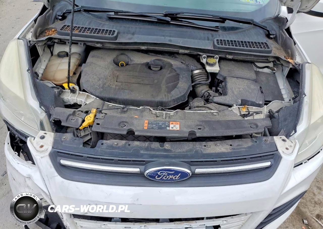 2015 Ford Escape Se VIN:1FMCU9G95FUB65498 - 12