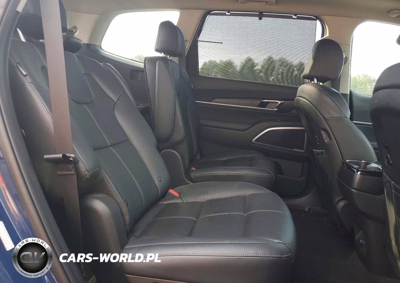 2023 Kia Telluride Ex VIN:5XYP3DGC5PG401691 - 11