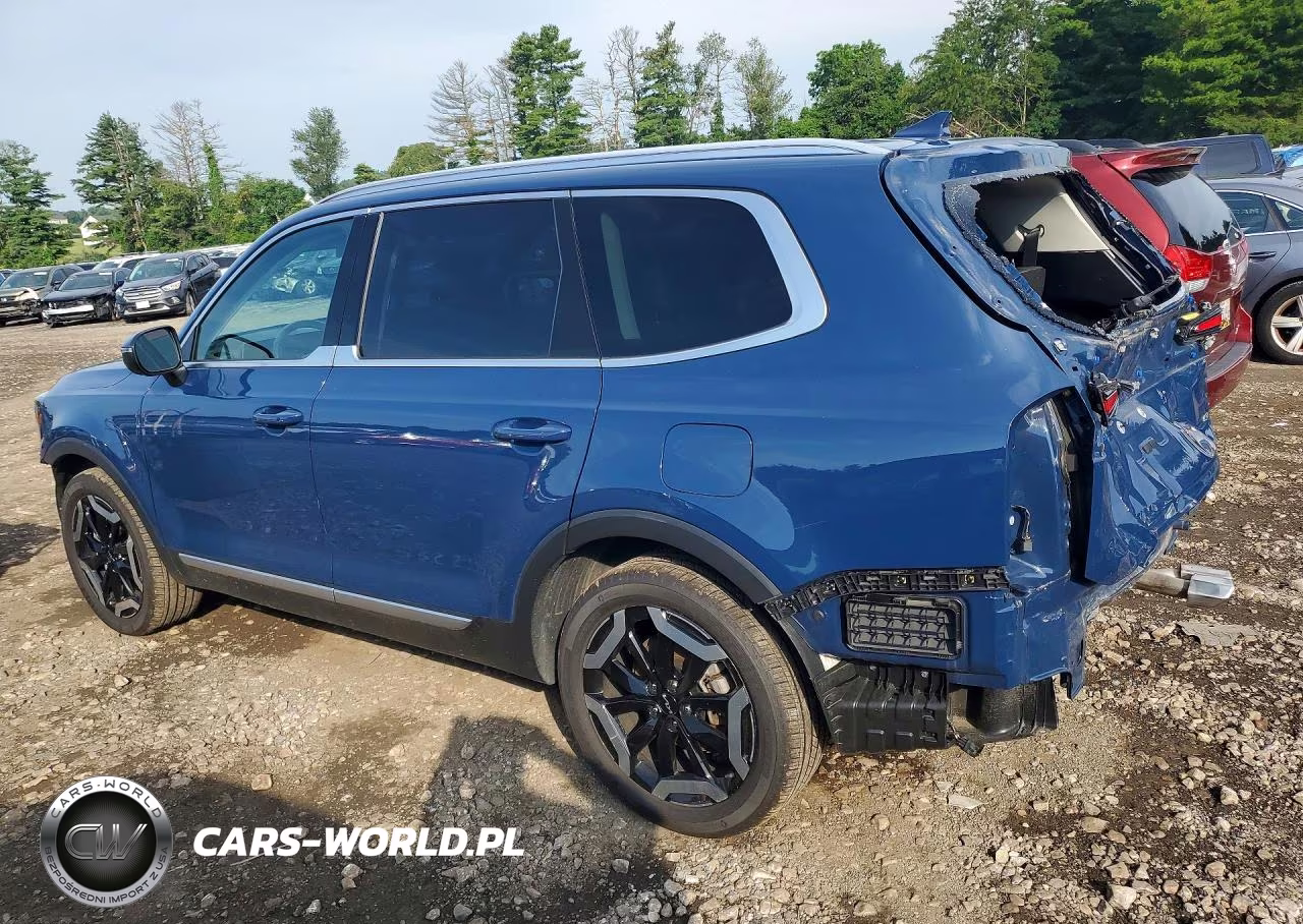 2023 Kia Telluride Ex VIN:5XYP3DGC5PG401691 - 2