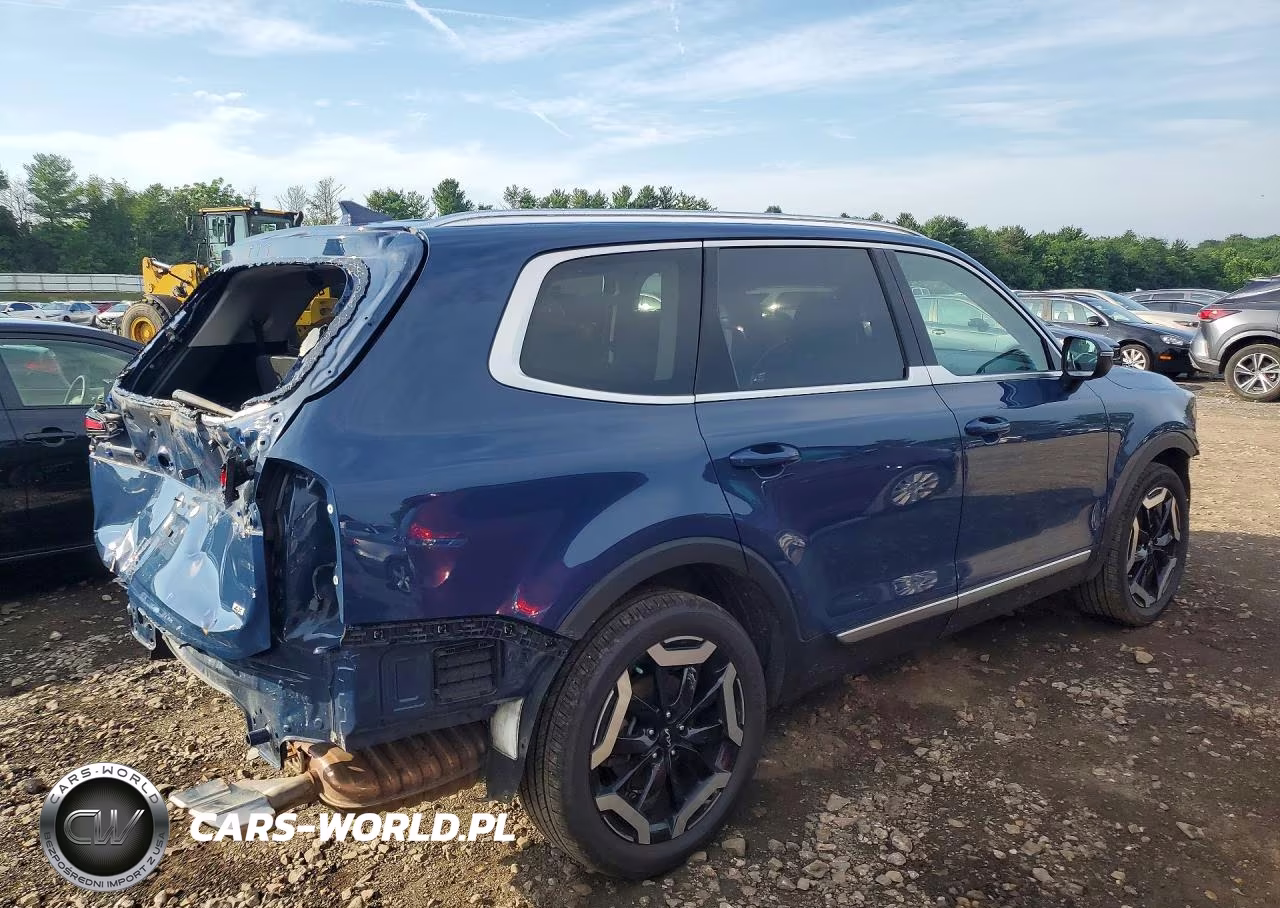 2023 Kia Telluride Ex VIN:5XYP3DGC5PG401691 - 3