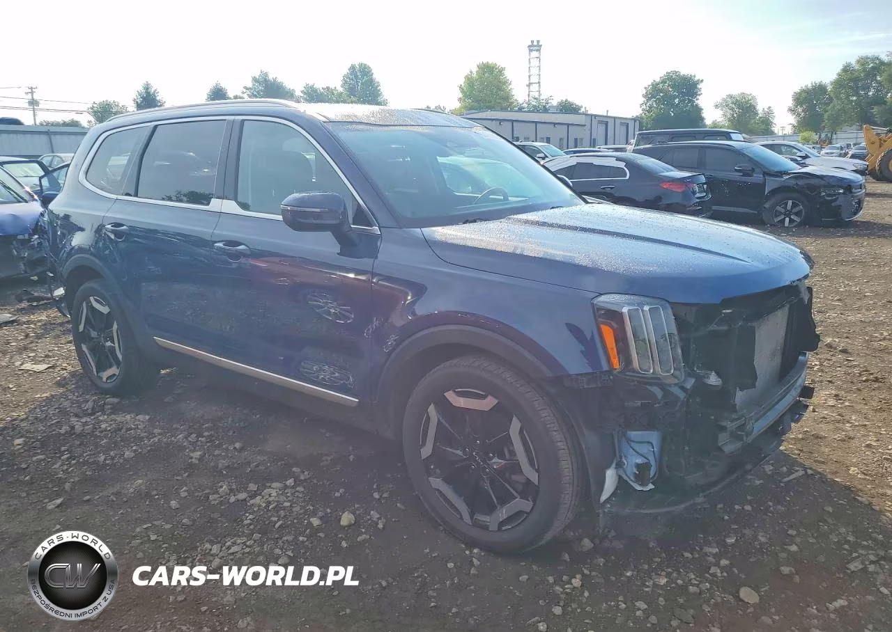 2023 Kia Telluride Ex VIN:5XYP3DGC5PG401691 - 4