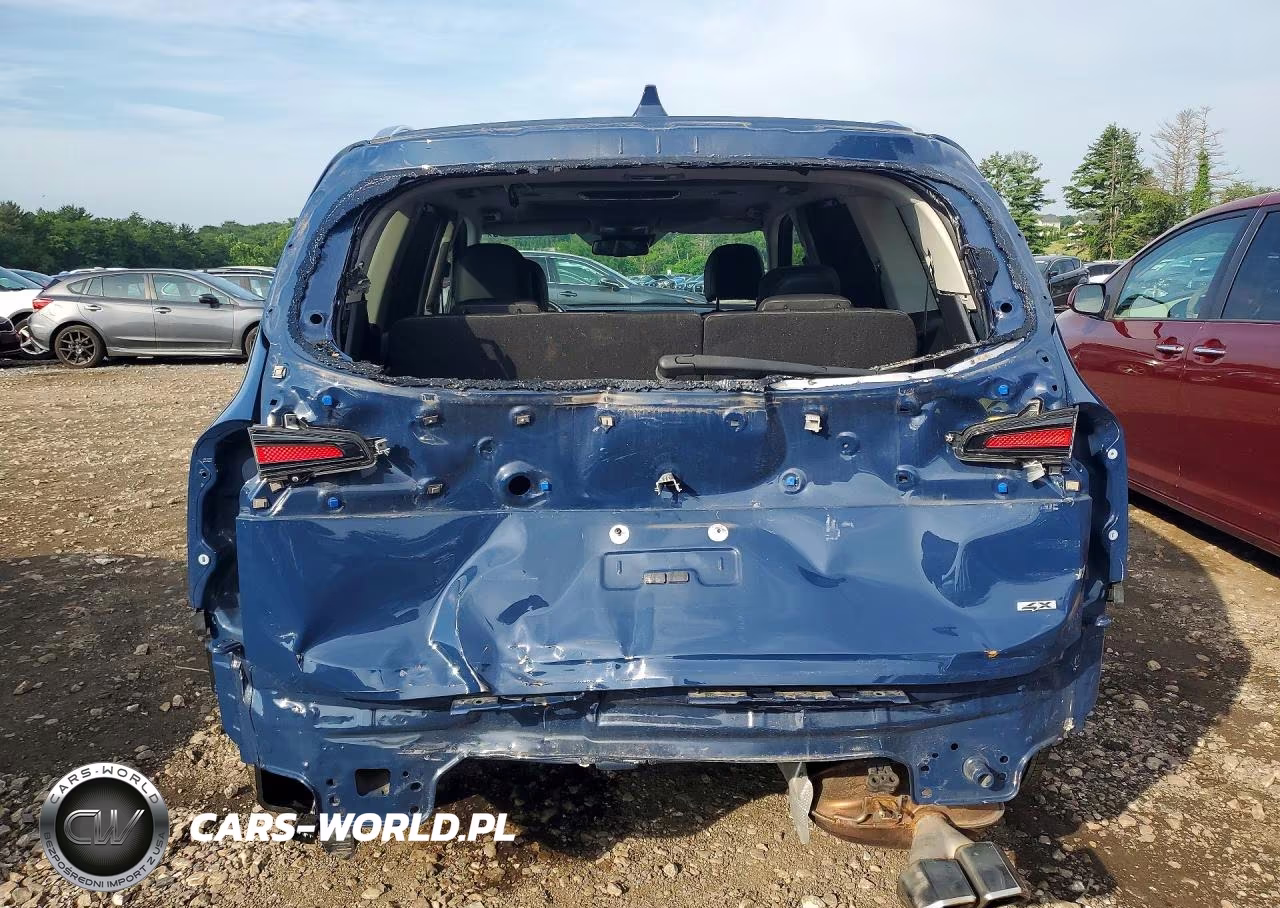 2023 Kia Telluride Ex VIN:5XYP3DGC5PG401691 - 6