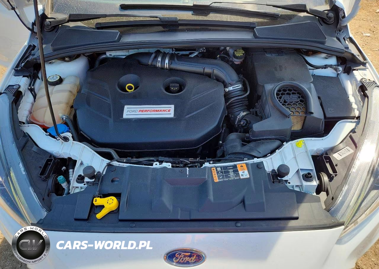 2017 Ford Focus Rs VIN:WF0DP3TH0H4125064 - 11