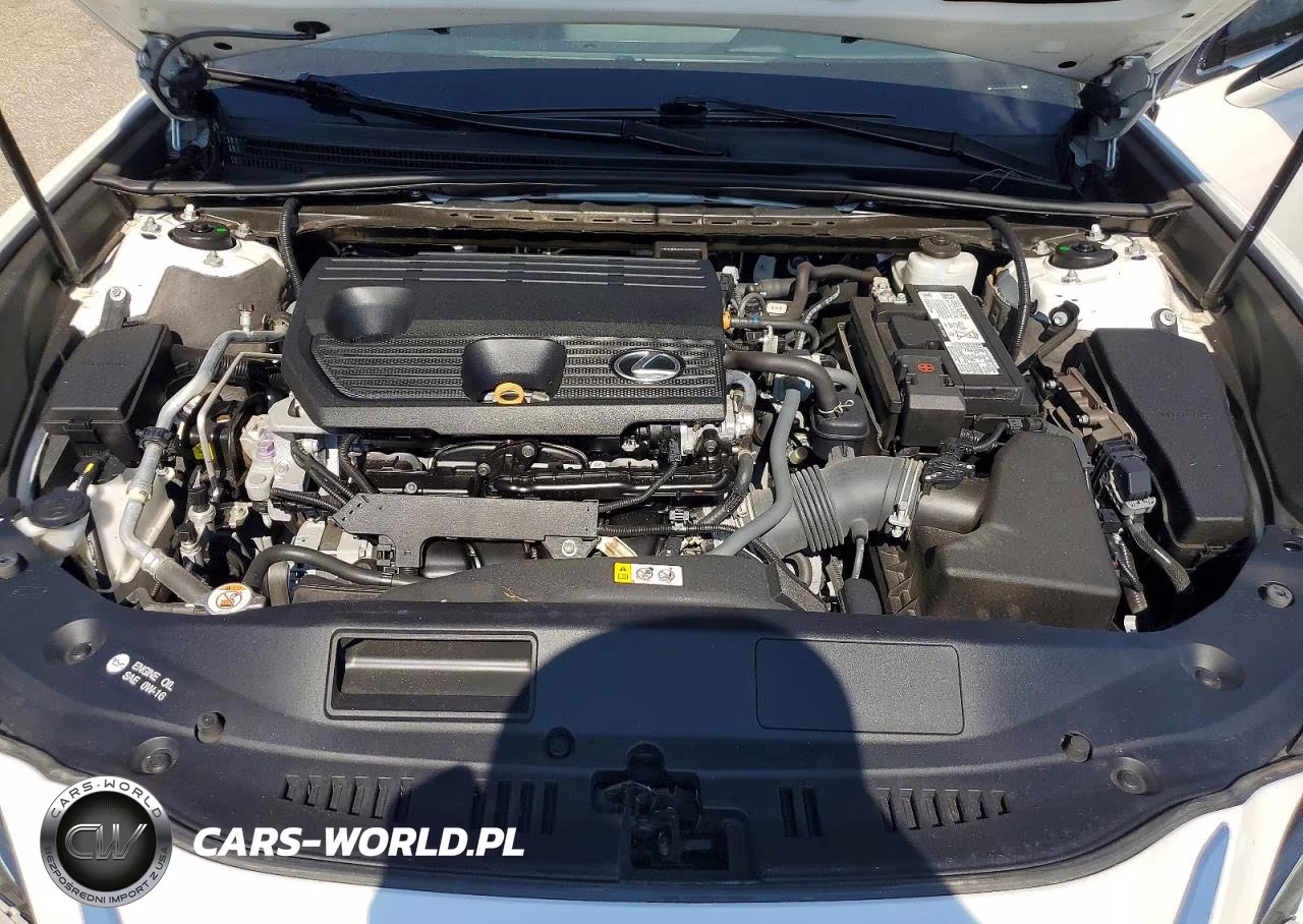 2022 Lexus Es 250 Base VIN:58AD11D14NU009361 - 11