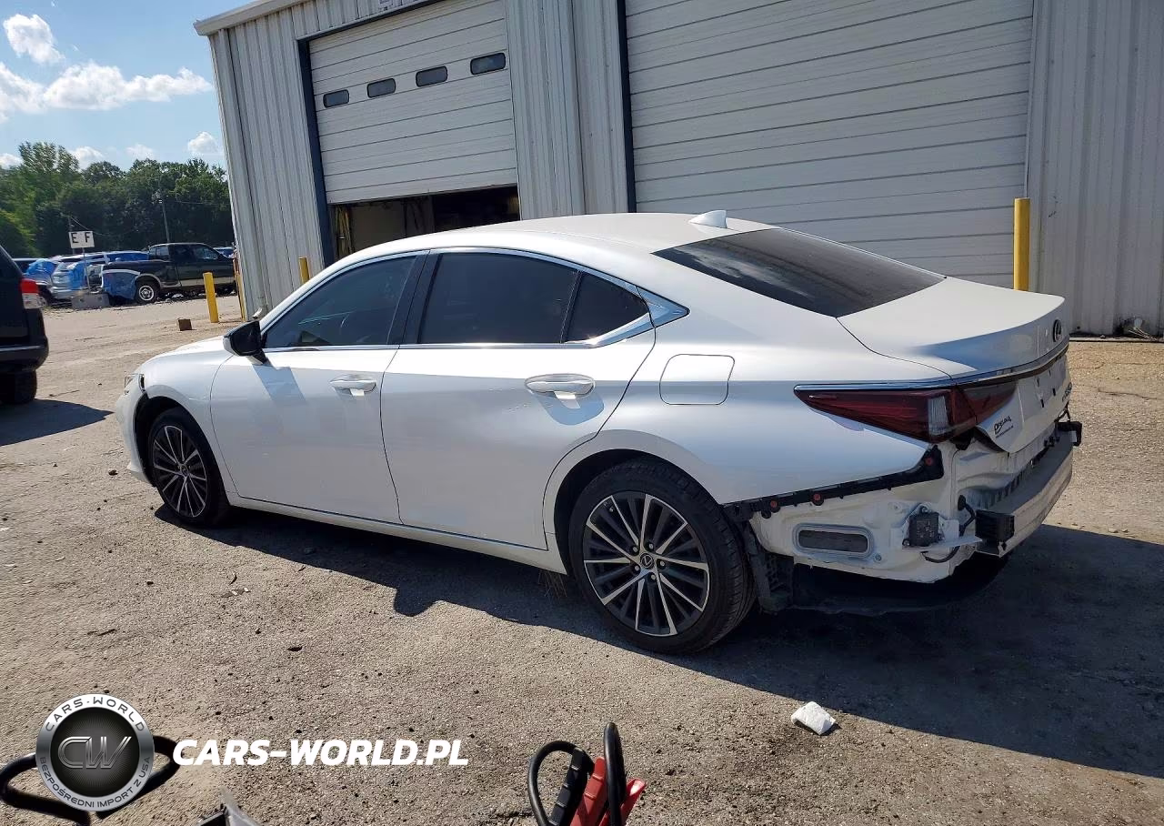 2022 Lexus Es 250 Base VIN:58AD11D14NU009361 - 2