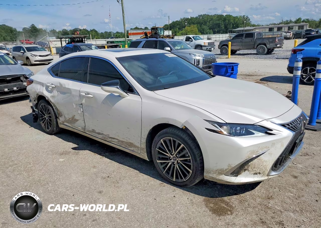 2022 Lexus Es 250 Base VIN:58AD11D14NU009361 - 4