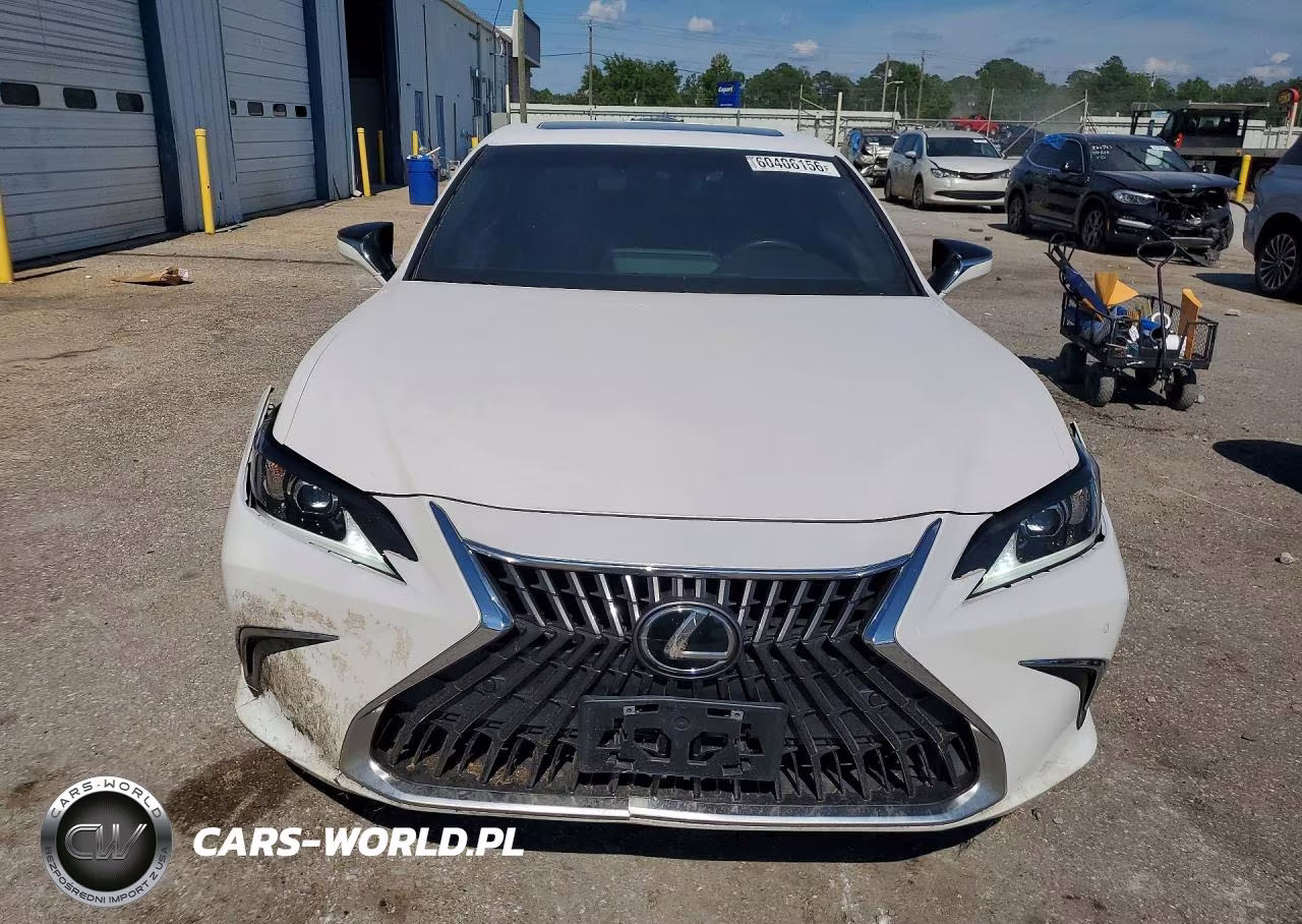 2022 Lexus Es 250 Base VIN:58AD11D14NU009361 - 5