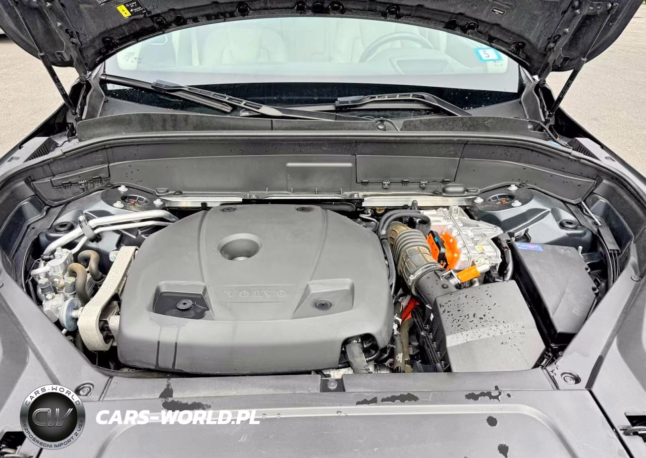 2021 Volvo Xc90 T8 Recharge Inscription Express VIN:YV4BR0CK9M1700107 - 10