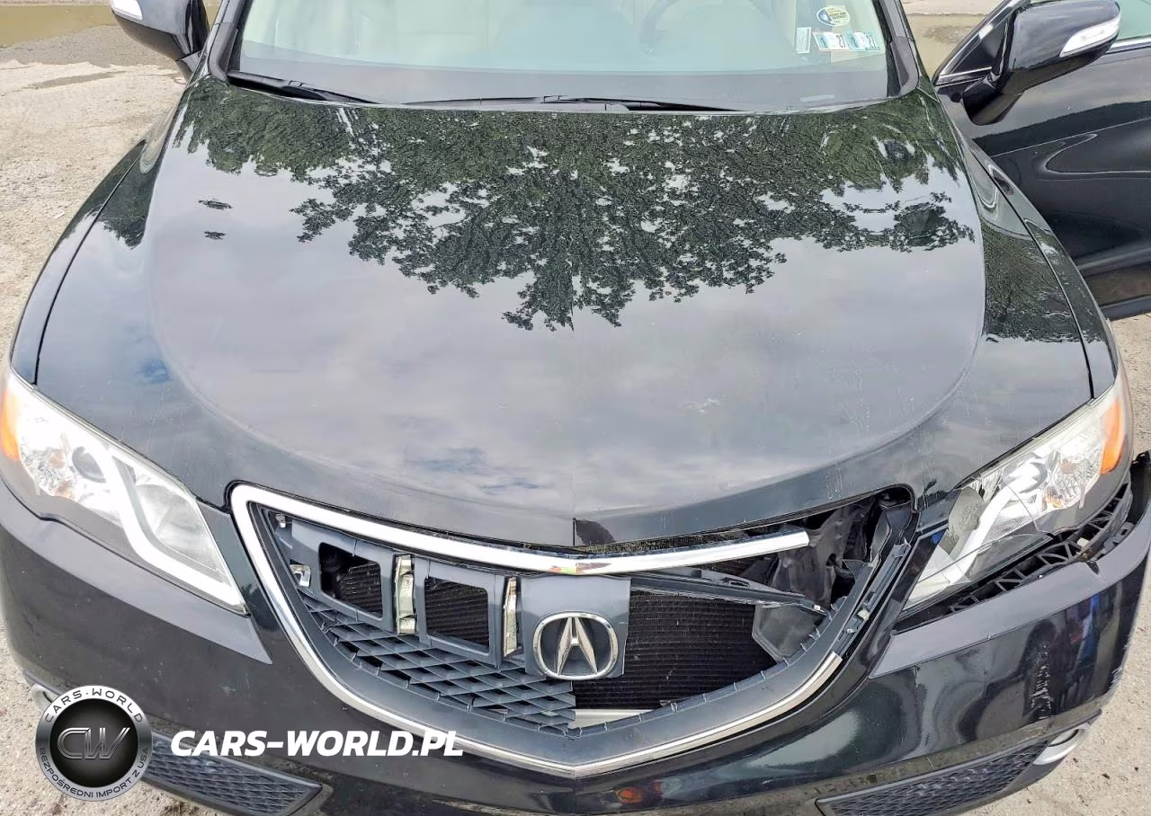 2014 Acura Rdx Technology VIN:5J8TB4H50EL004958 - 12
