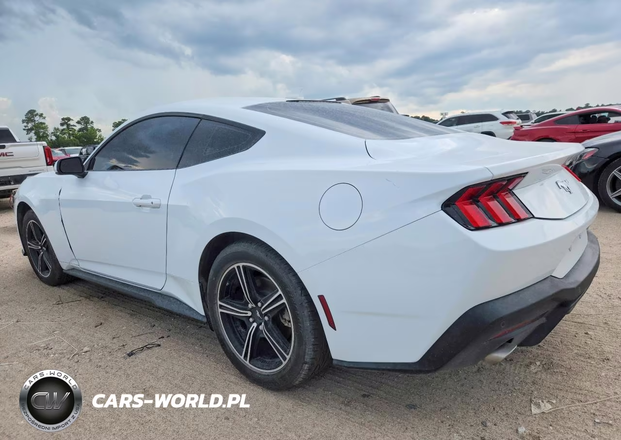 2024 Ford Mustang VIN:1FA6P8TH8R5138395 - 2