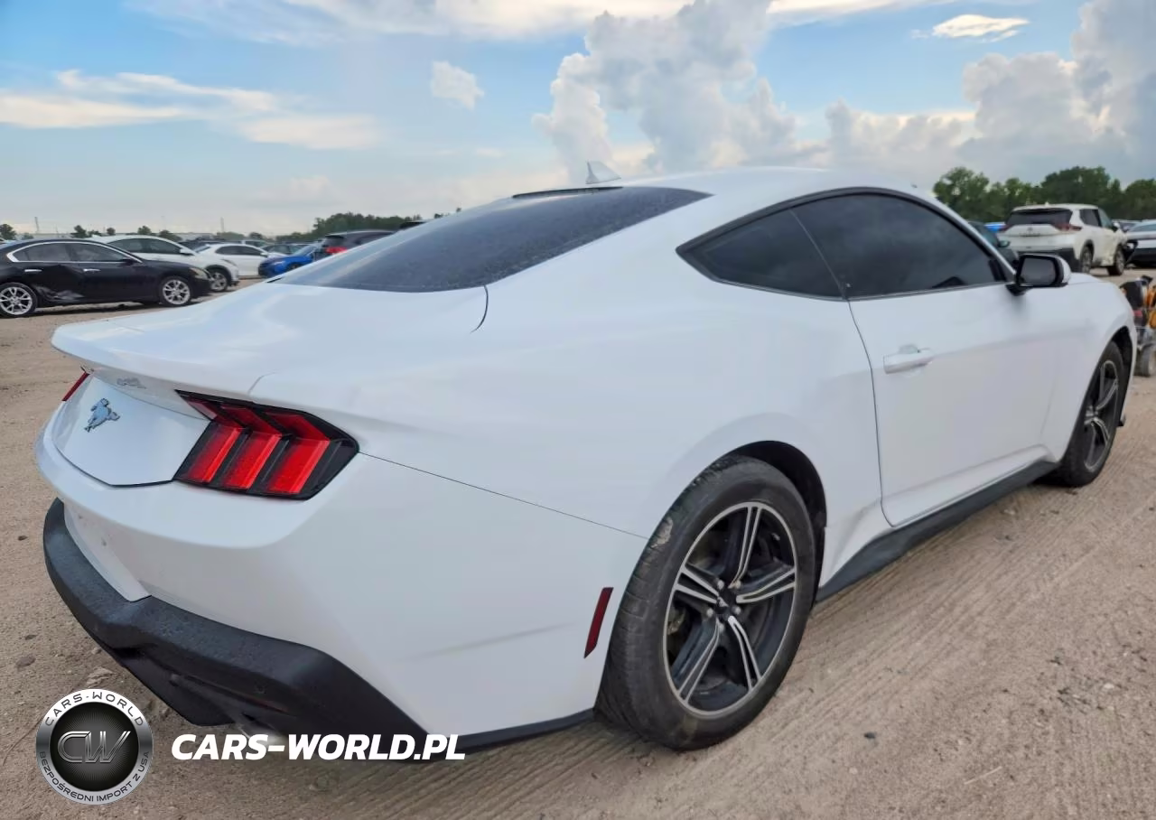 2024 Ford Mustang VIN:1FA6P8TH8R5138395 - 3