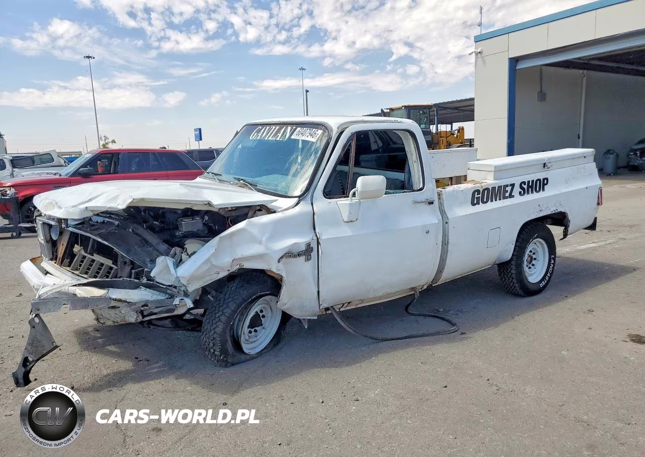 1981 Chevrolet C20