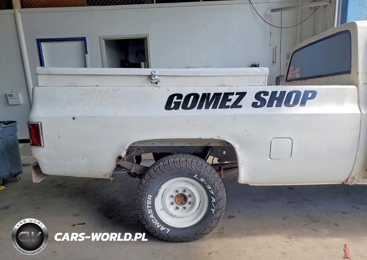 1981 Chevrolet C20 VIN:1GCGC24M4BJ142153 - 10