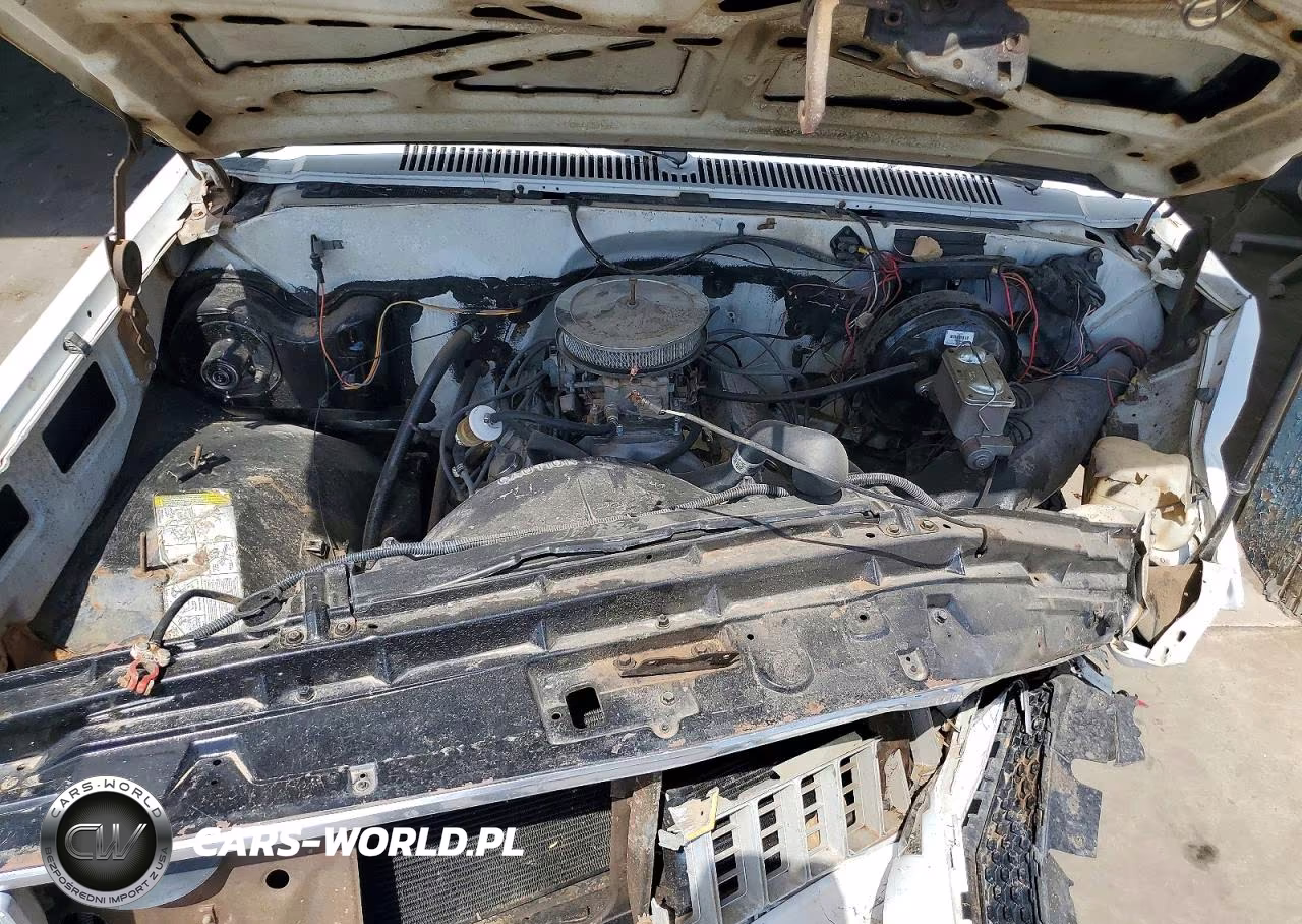 1981 Chevrolet C20 VIN:1GCGC24M4BJ142153 - 11