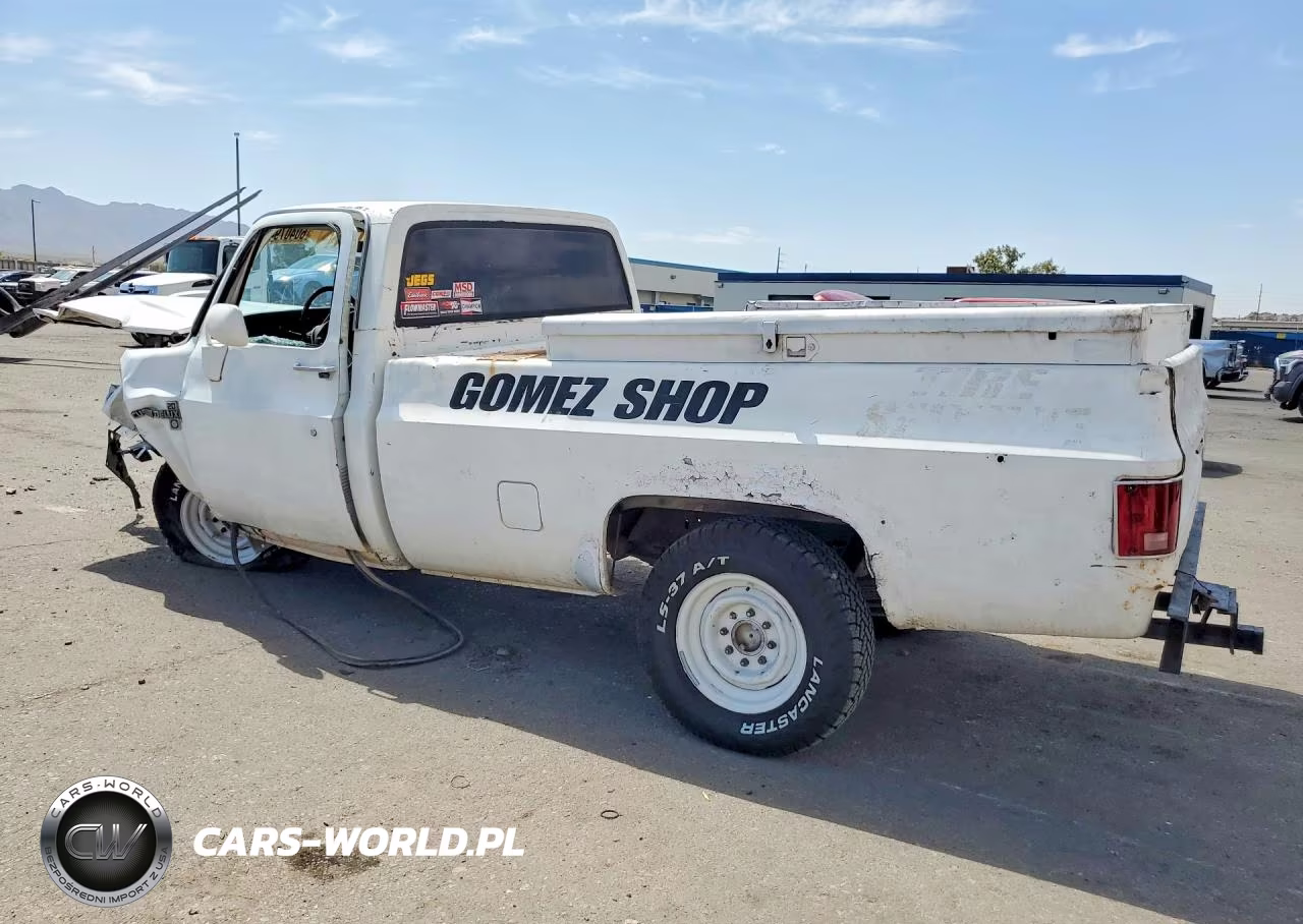 1981 Chevrolet C20 VIN:1GCGC24M4BJ142153 - 2