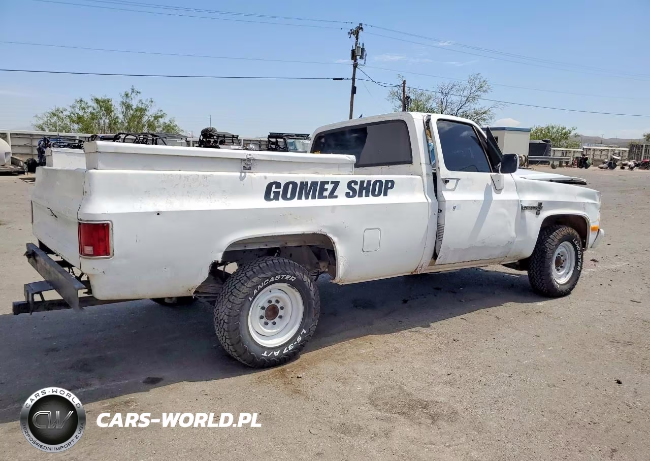 1981 Chevrolet C20 VIN:1GCGC24M4BJ142153 - 3