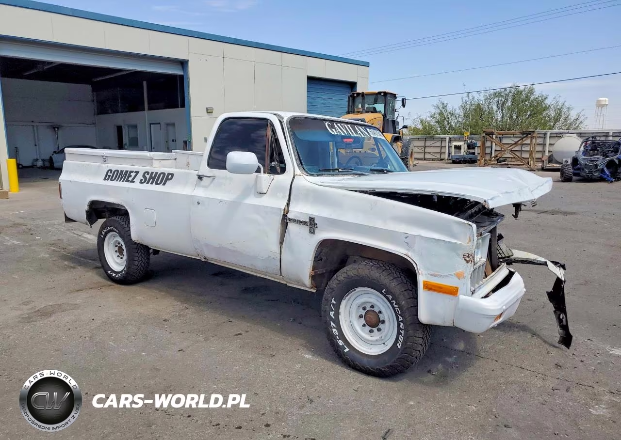 1981 Chevrolet C20 VIN:1GCGC24M4BJ142153 - 4