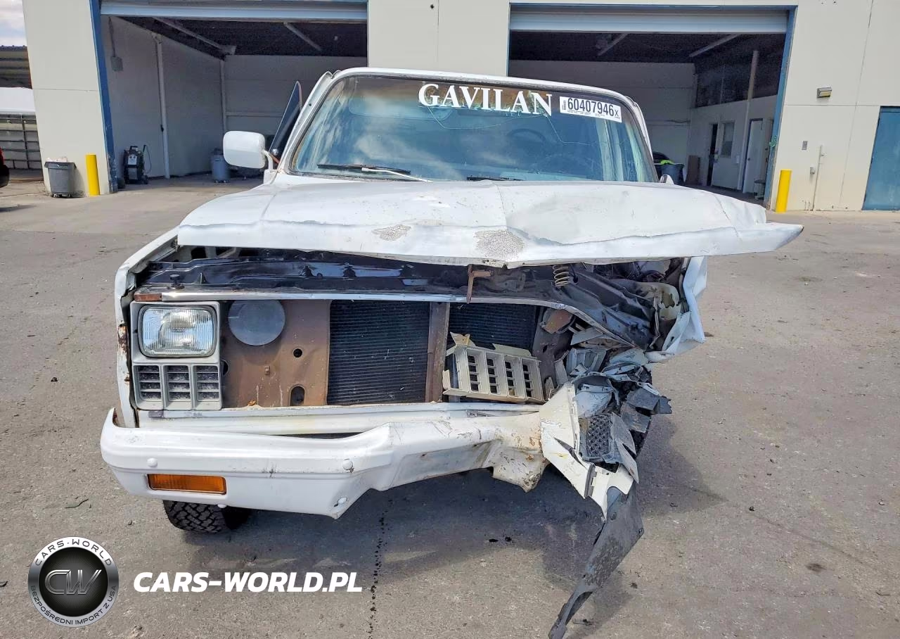 1981 Chevrolet C20 VIN:1GCGC24M4BJ142153 - 5