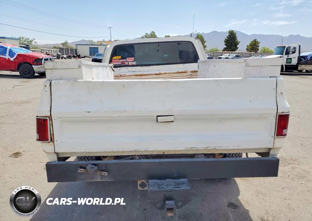 1981 Chevrolet C20 VIN:1GCGC24M4BJ142153 - 6
