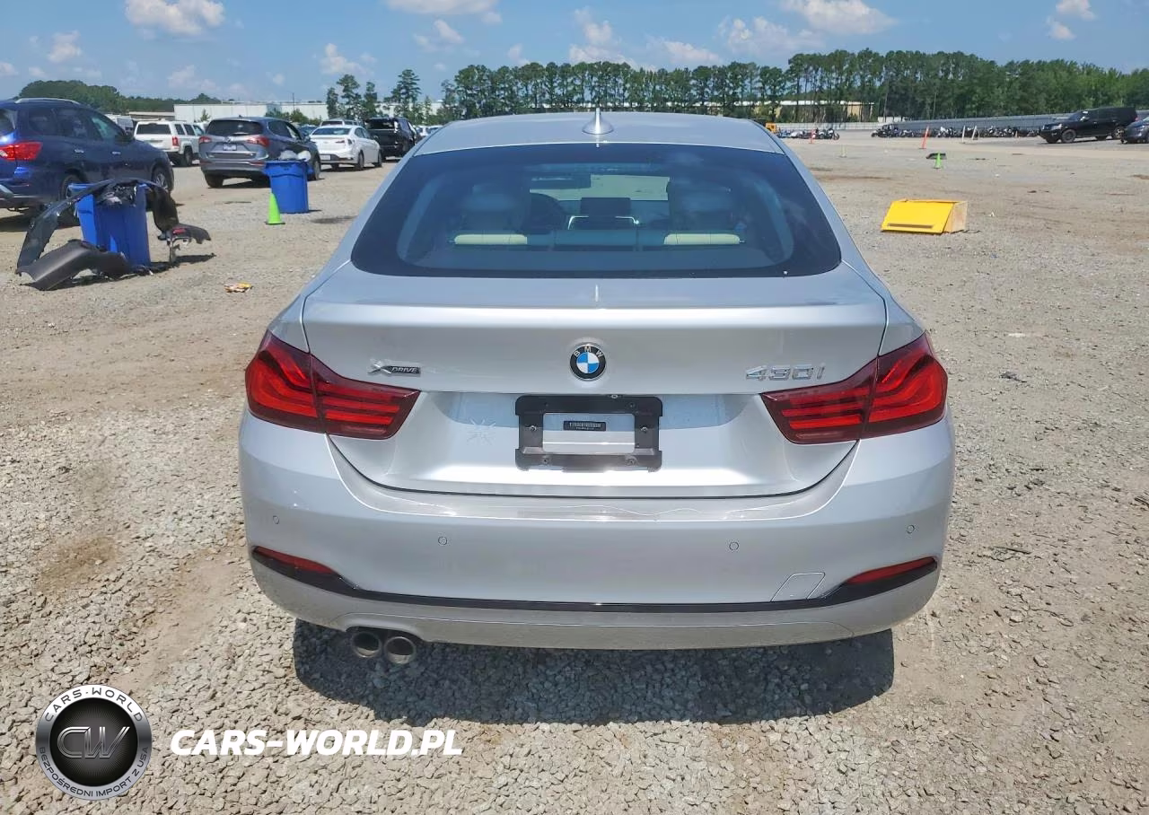 2020 BMW 430Xi Gran Coupe VIN:WBA4J3C01LBL11874 - 6