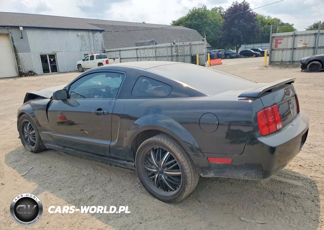 2005 Ford Mustang VIN:1ZVFT80N955206954 - 2
