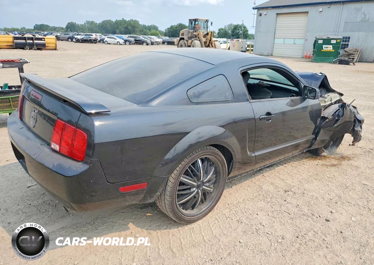 2005 Ford Mustang VIN:1ZVFT80N955206954 - 3