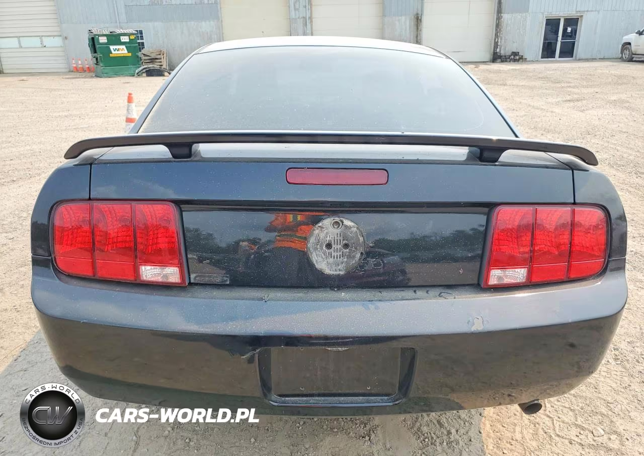 2005 Ford Mustang VIN:1ZVFT80N955206954 - 6