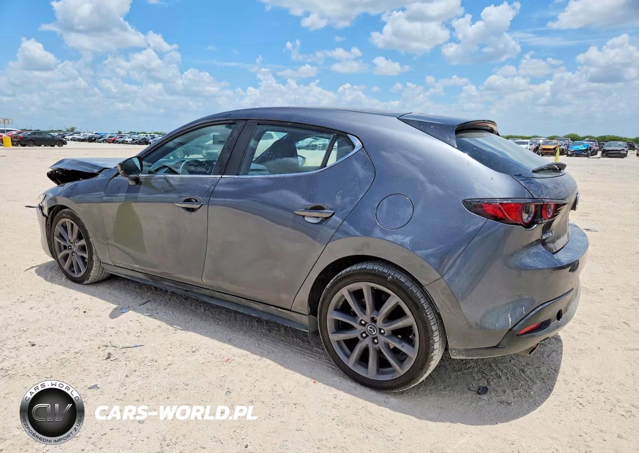 2019 Mazda 3 VIN:JM1BPAJM9K1138497 - 2