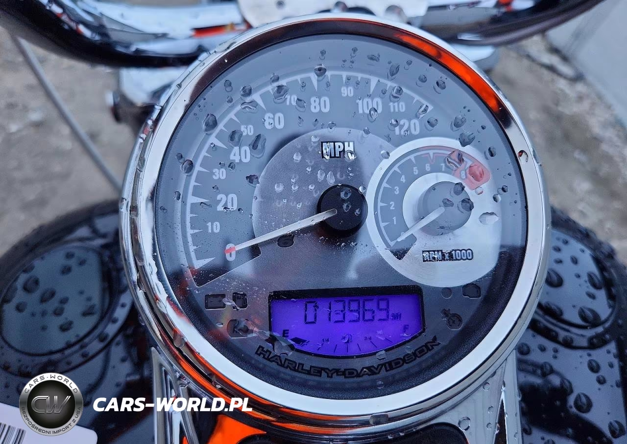2007 Harley-Davidson Flhrs VIN:5HD1FY41X7Y640451 - 7